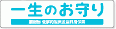 「一生のお守り」（無配当低解約返戻金型終身保険）